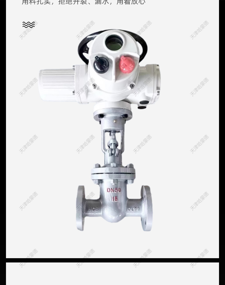 哈蒙德铸钢电动法兰闸阀Z941H16C锅炉电站温蒸汽导热油AC380V.jpg
