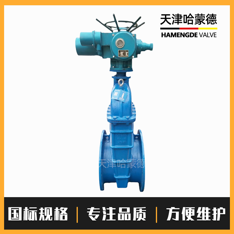 哈蒙德软密封暗杆电动法兰闸阀弹性座封阀消防自来水Z945X10/16Q