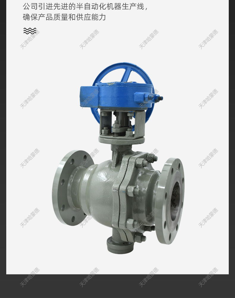 哈蒙德Q347F16C液化石油气燃气天然气铸钢涡轮法兰固定式球阀.jpg