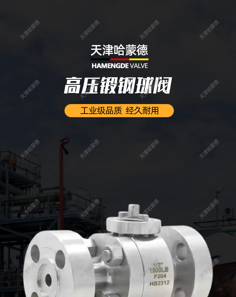 哈蒙德304/316L不锈钢高压锻钢法兰球阀Q41F1500LB燃气天然气.jpg