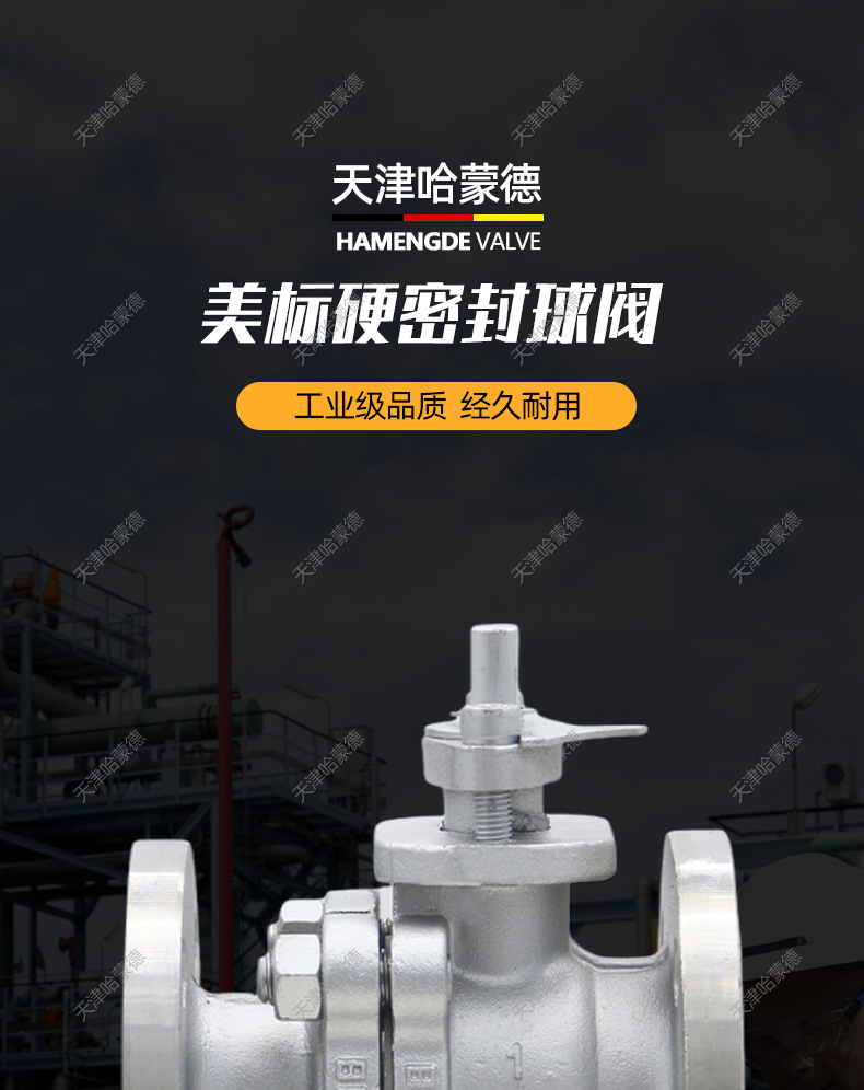 哈蒙德美标不锈钢法兰硬密封球阀Q41H/Y150LB蒸汽导热油石油燃气.jpg
