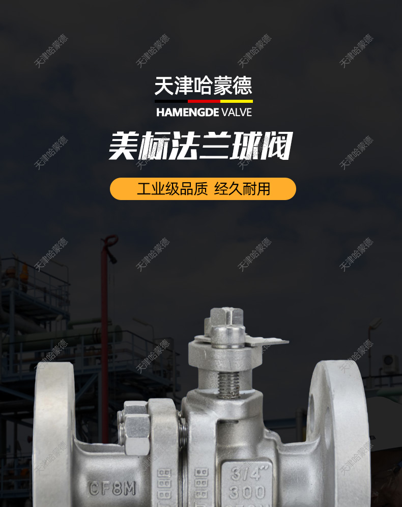 哈蒙德美标ANSI304不锈钢法兰球阀300LB高温蒸汽燃气石油柴油手动.jpg
