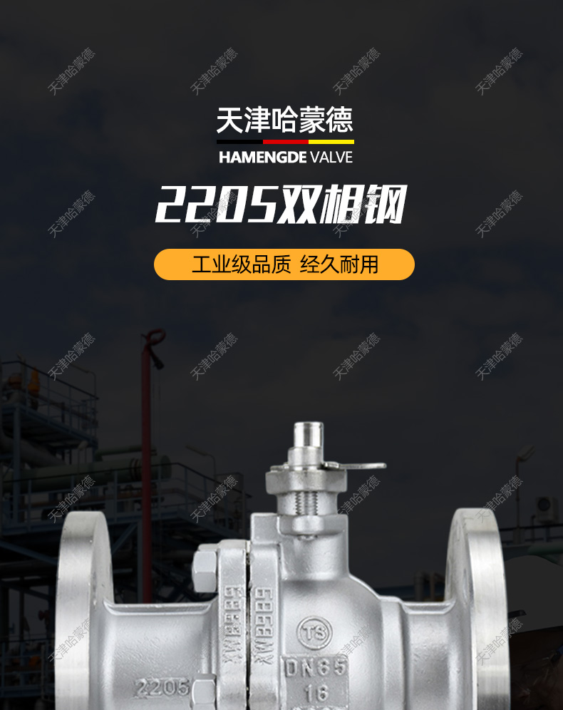 哈蒙德双相钢2205法兰球阀阀门Q41F16V 2507 904L钛TA2 PN40 64.jpg