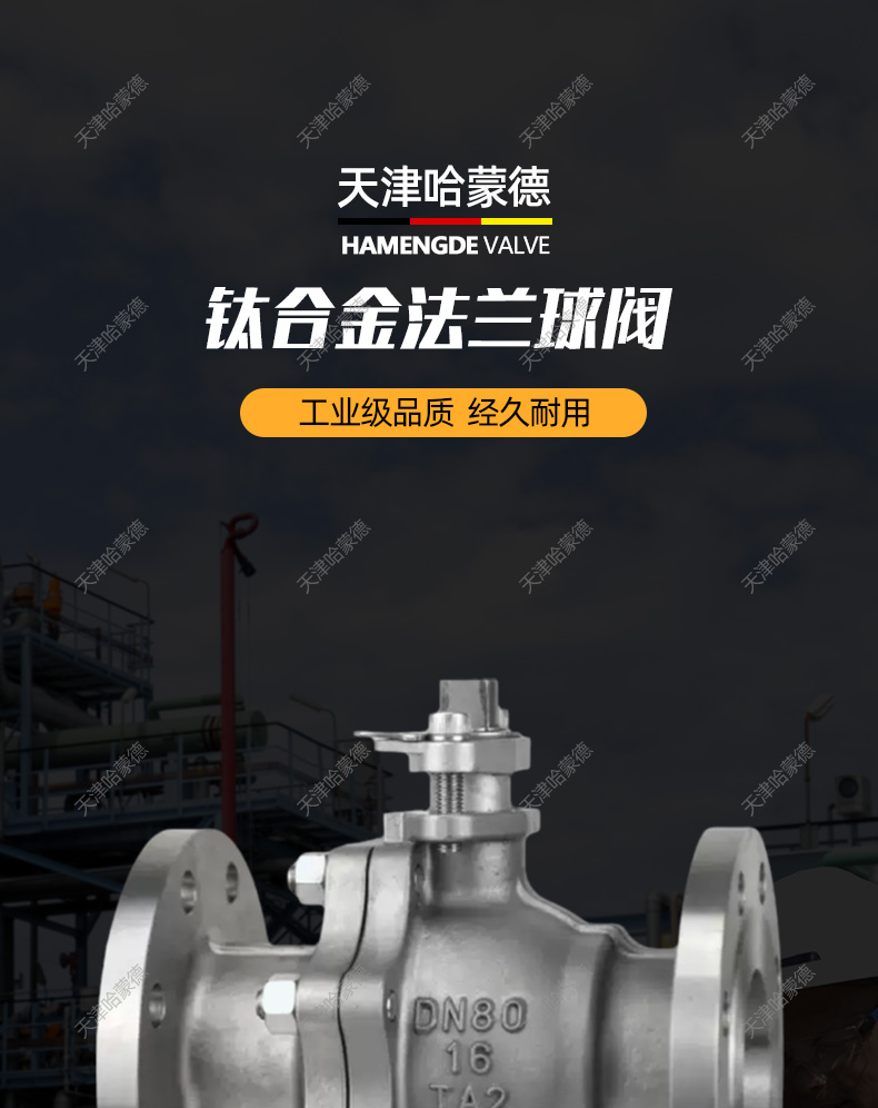 哈蒙德Q41F16Ti钛合金法兰球阀TA2镍材/锆材/钛材阀门耐强酸强碱.jpg