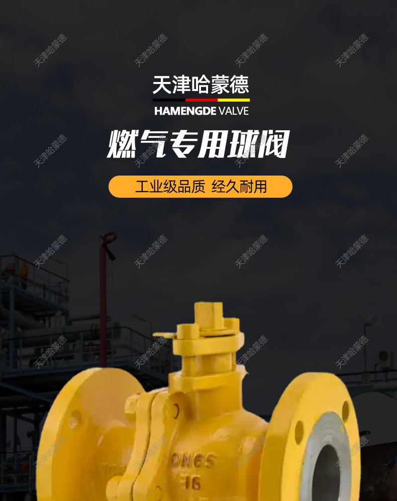 哈蒙德防火防静电煤石油柴油燃气天然气专用铸钢法兰球阀Q41F16C.jpg