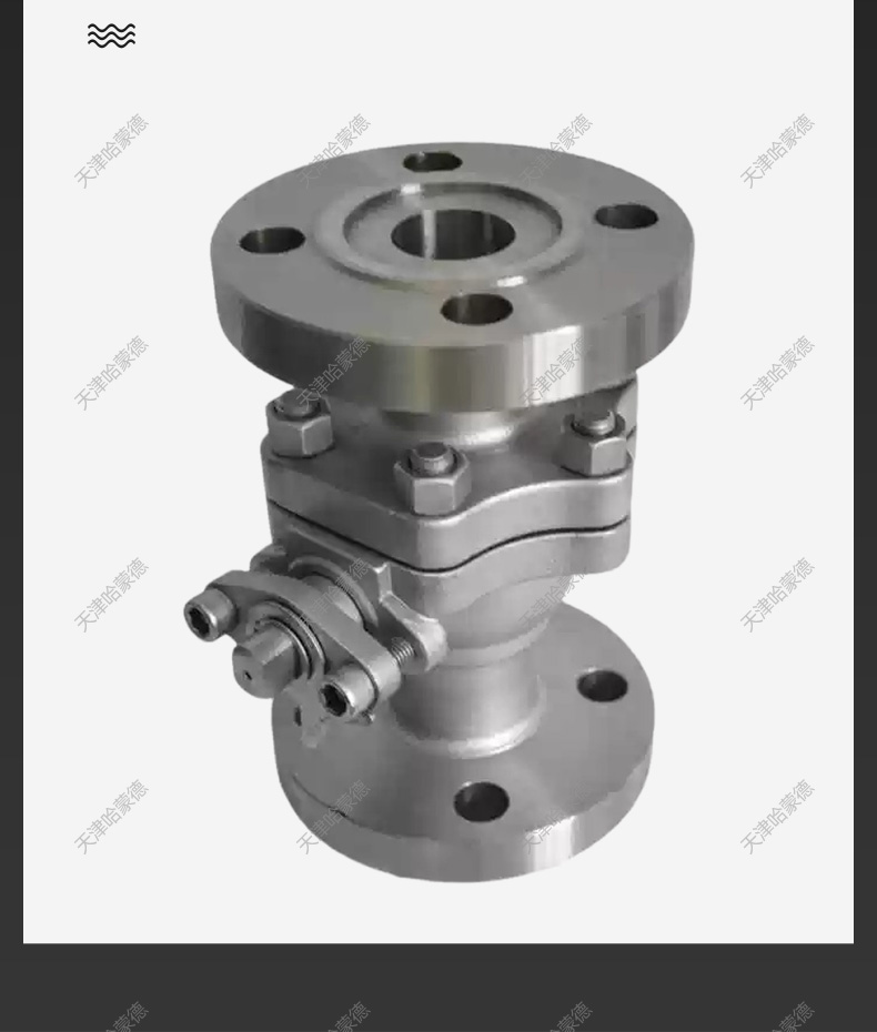 哈蒙德不锈钢304/316L法兰硬密封高压球阀Q41H/Y100P高压PN100.jpg