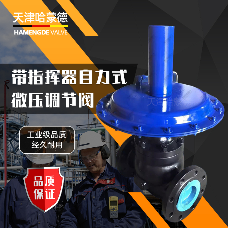 ZZYVP-16B自力式调节阀压力减压阀气体微压调压供氮阀控制氮封阀