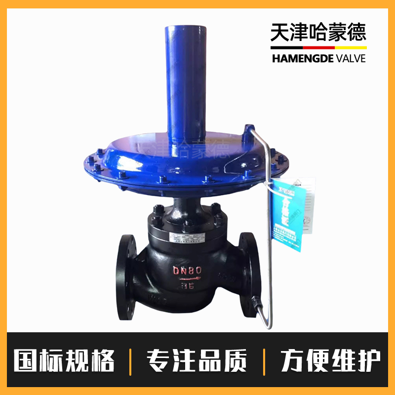 ZZYVP-16B自力式调节阀压力减压阀气体微压调压供氮阀控制氮封阀
