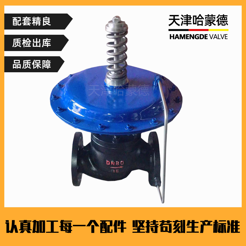 ZZYVP-16B自力式调节阀压力减压阀气体微压调压供氮阀控制氮封阀