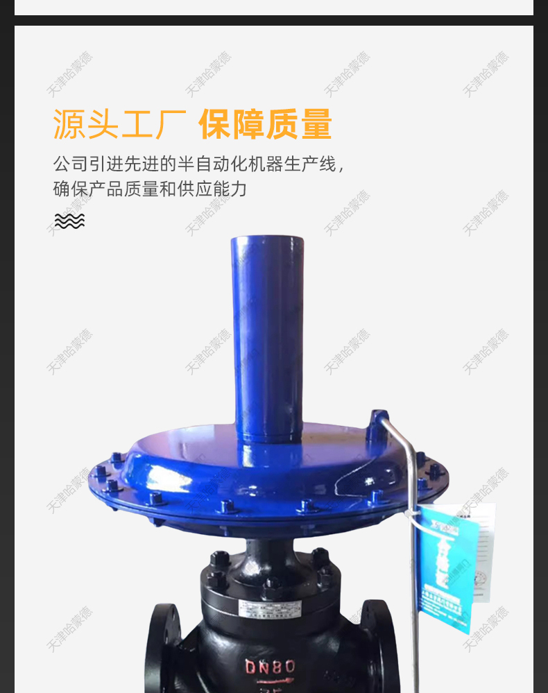ZZYVP16B自力式调节阀压力减压阀气体微压调压供氮阀控制氮封阀.jpg