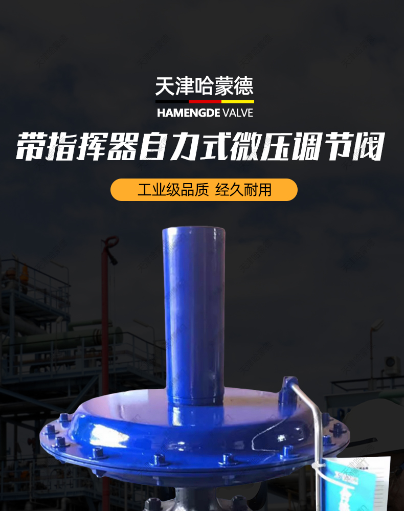 ZZYVP16B自力式调节阀压力减压阀气体微压调压供氮阀控制氮封阀.jpg
