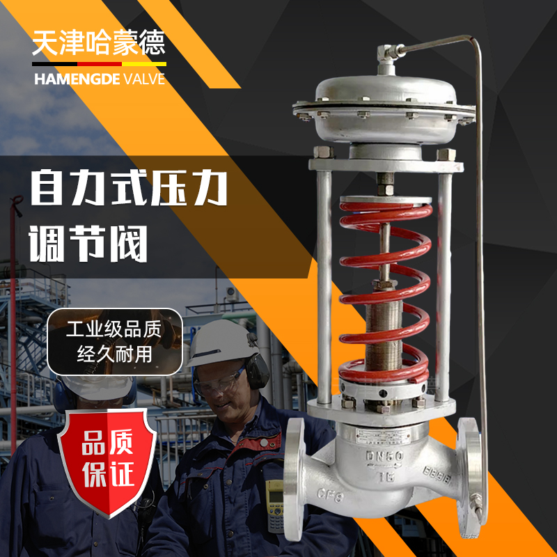 哈蒙德不锈钢自力式压力调节阀氨气氨水氮气气体稳压减压阀ZZYP