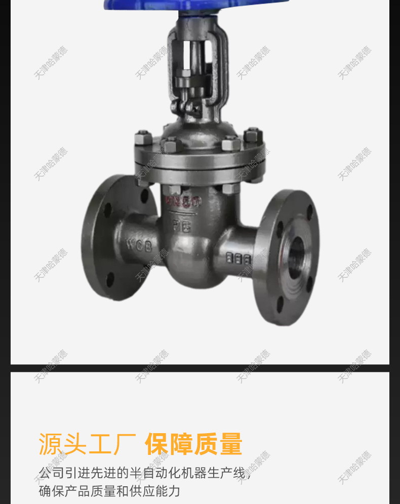 哈蒙德Z41H16C铸钢法兰闸阀DN15 20 25 32 40 50 80 100 150 200.jpg