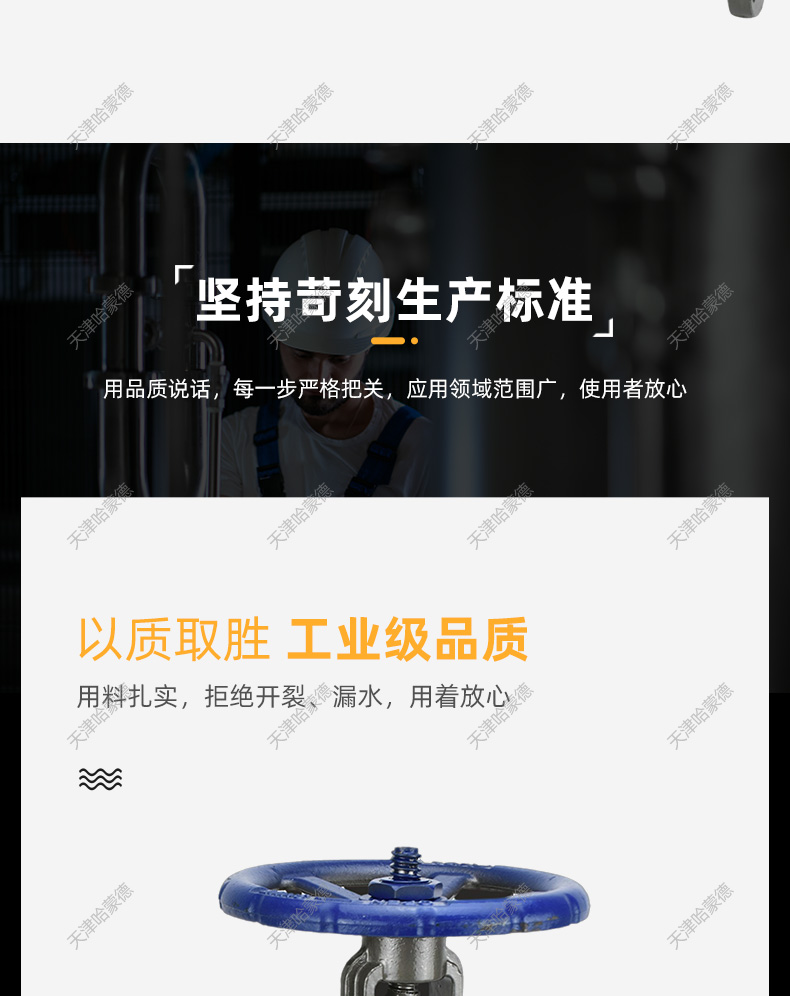 哈蒙德Z41H16C铸钢法兰闸阀DN15 20 25 32 40 50 80 100 150 200.jpg