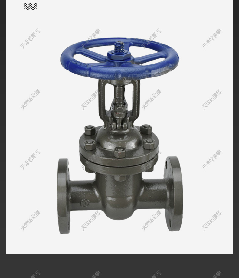 哈蒙德Z41H16C铸钢法兰闸阀DN15 20 25 32 40 50 80 100 150 200.jpg