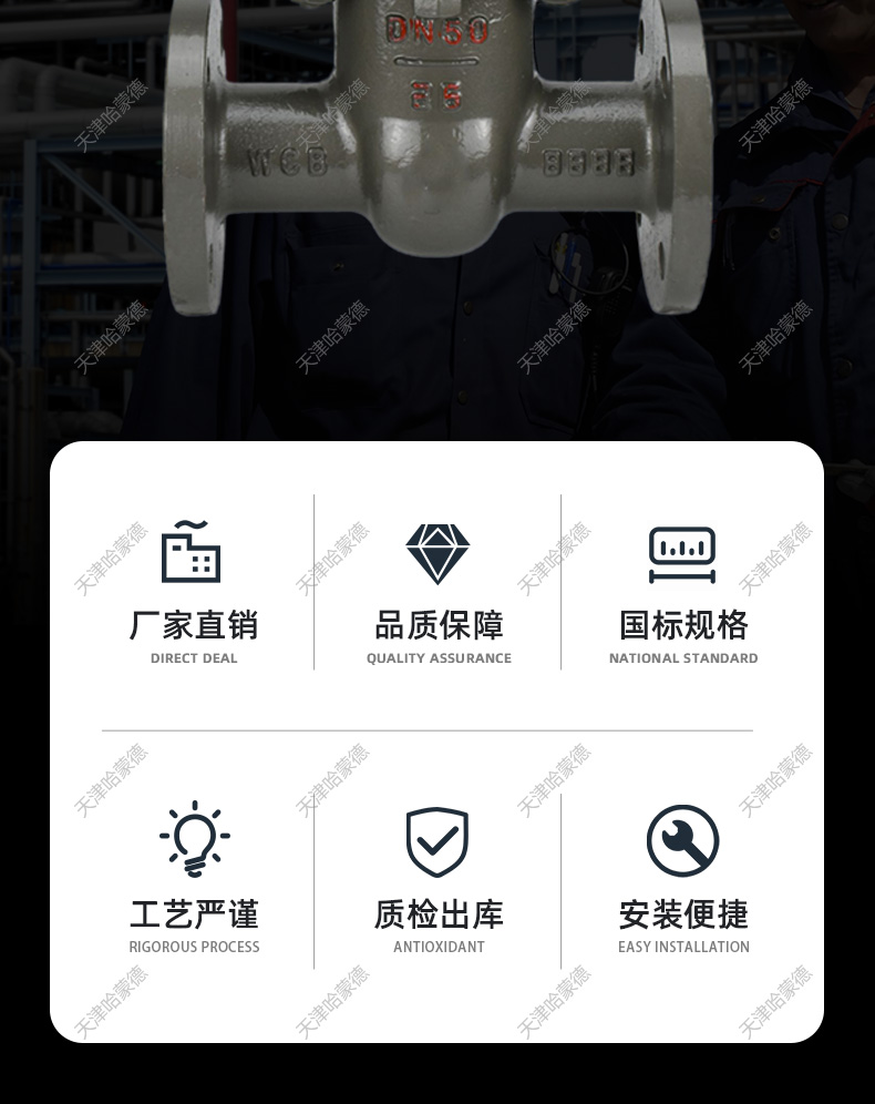 哈蒙德Z41H16C铸钢法兰闸阀DN15 20 25 32 40 50 80 100 150 200.jpg