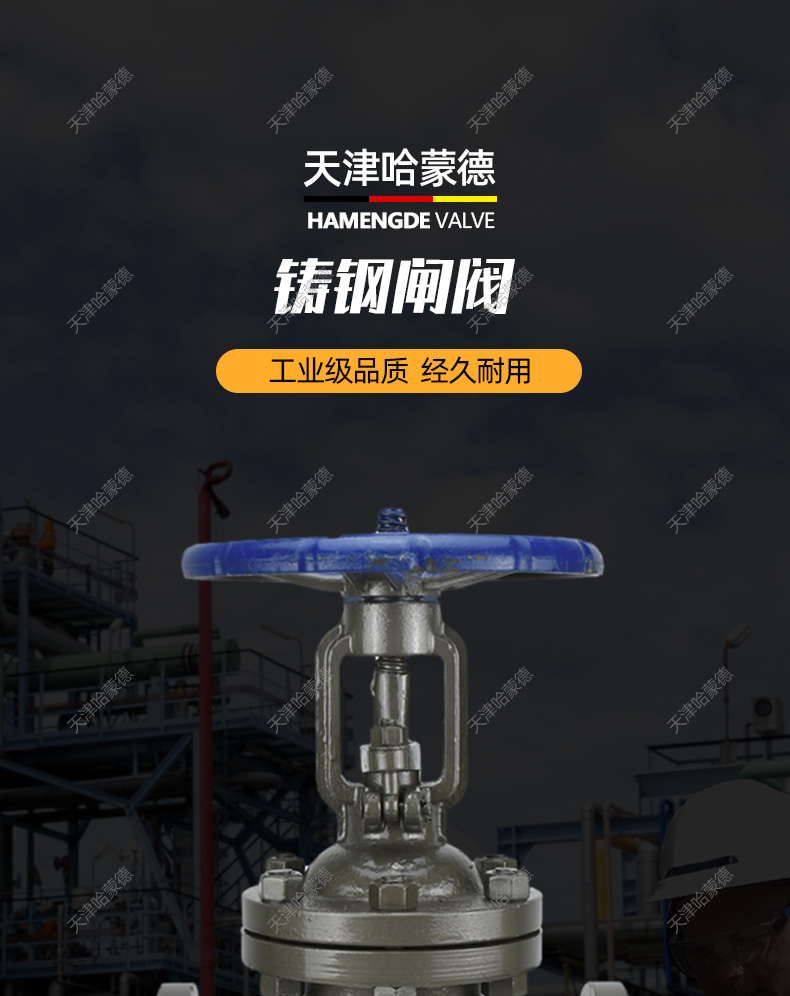 哈蒙德Z41H16C铸钢法兰闸阀DN15 20 25 32 40 50 80 100 150 200.jpg