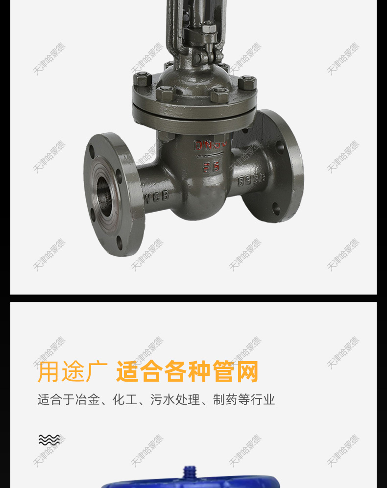 哈蒙德Z41H16C铸钢法兰闸阀DN15 20 25 32 40 50 80 100 150 200.jpg