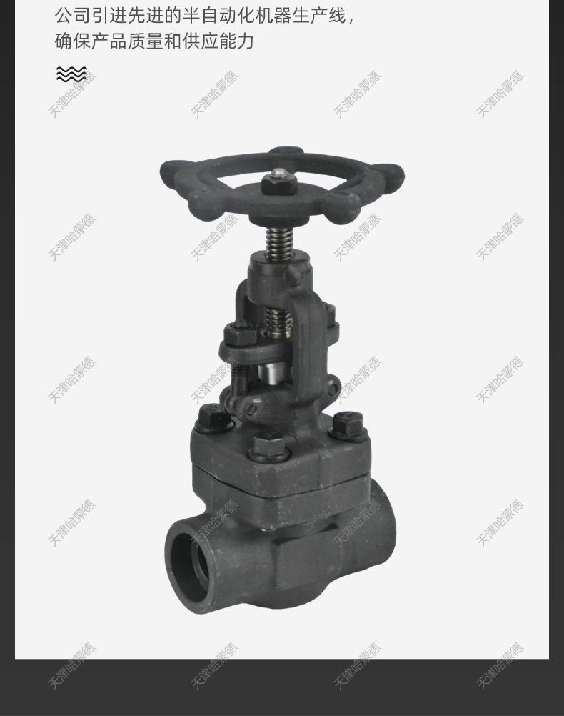 哈蒙德A105锻钢对焊式承插焊闸阀Z61H16C锅炉化工电站高温蒸汽.jpg
