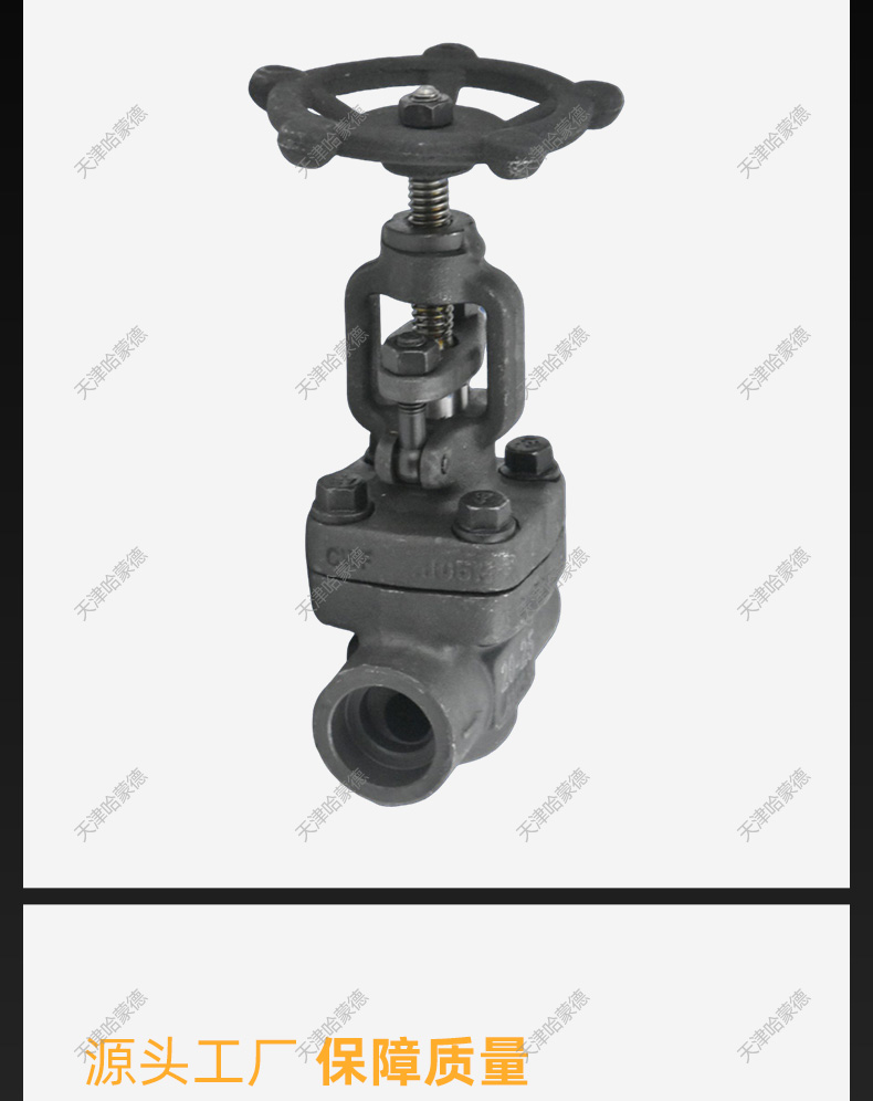 哈蒙德A105锻钢对焊式承插焊闸阀Z61H16C锅炉化工电站高温蒸汽.jpg