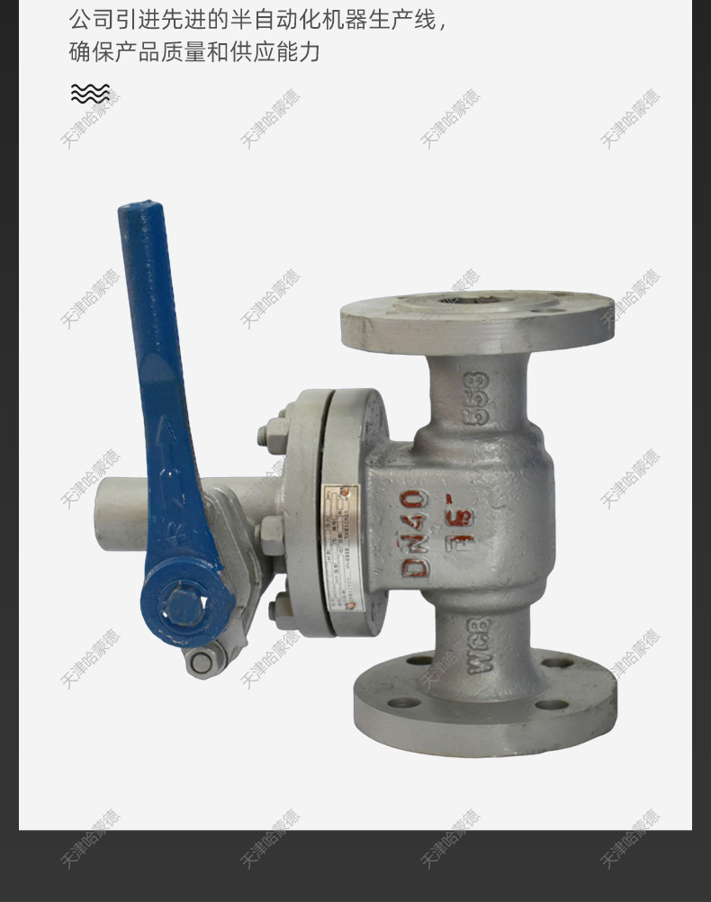 哈蒙德锅炉排污阀P48H16/25/40C铸钢闸板式快开式排污闸阀排污阀.jpg
