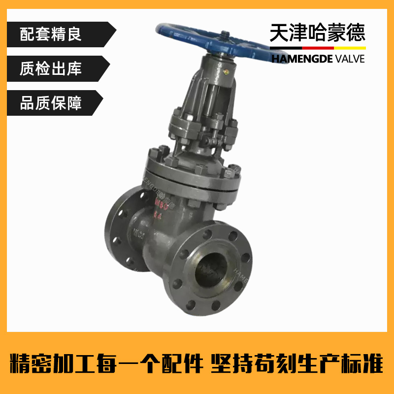 哈蒙德国标重型铸钢法兰闸阀碳钢高温高压Z41H-64C蒸汽导热油耐