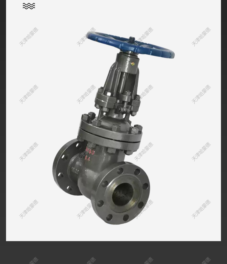 哈蒙德国标重型铸钢法兰闸阀碳钢高温高压Z41H64C蒸汽导热油耐.jpg
