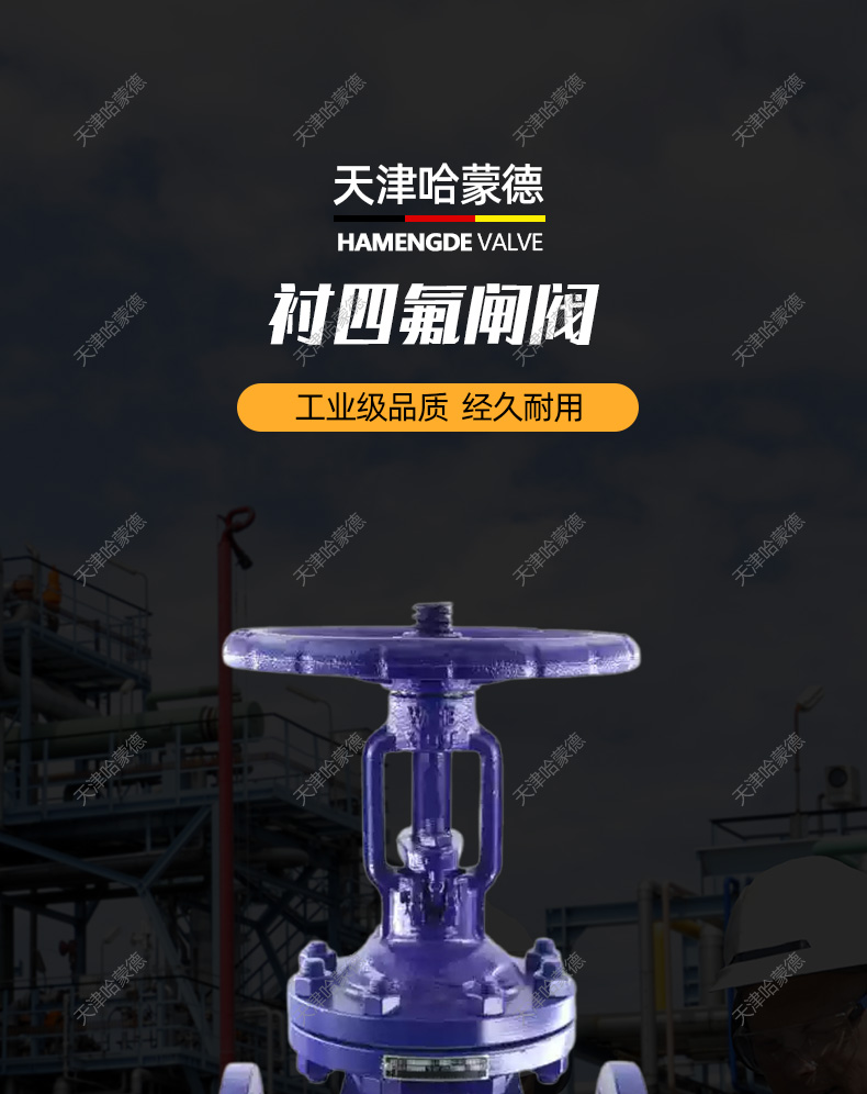 哈蒙德铸钢衬四氟法兰闸阀Z41F4616C衬氟碳钢阀门DN50 80 100.jpg