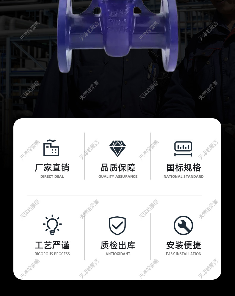 哈蒙德铸钢衬四氟法兰闸阀Z41F4616C衬氟碳钢阀门DN50 80 100.jpg