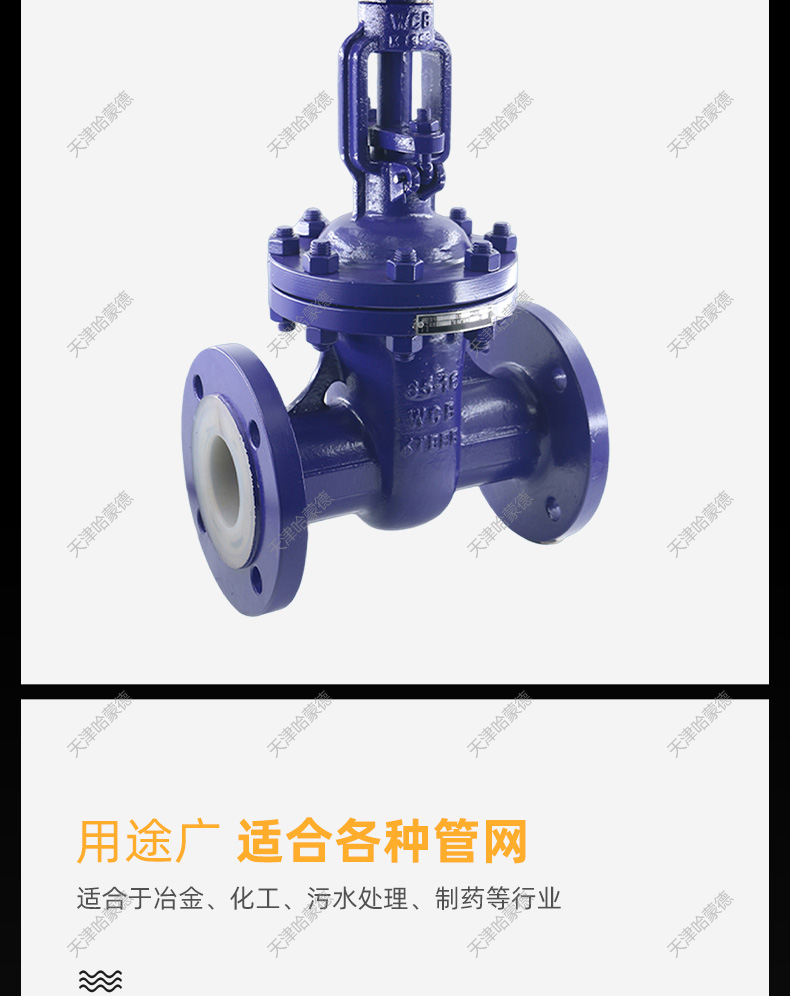 哈蒙德铸钢衬四氟法兰闸阀Z41F4616C衬氟碳钢阀门DN50 80 100.jpg