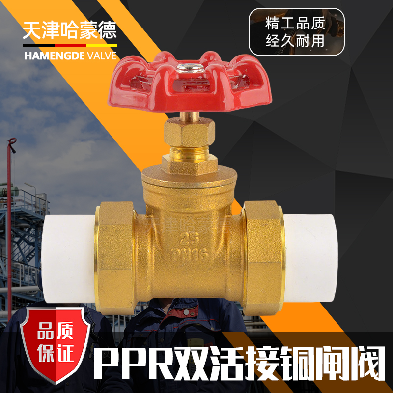 哈蒙德PPRSHJTZF截止阀双活接黄铜PPR闸阀4分自来水管热熔6分25阀门开关