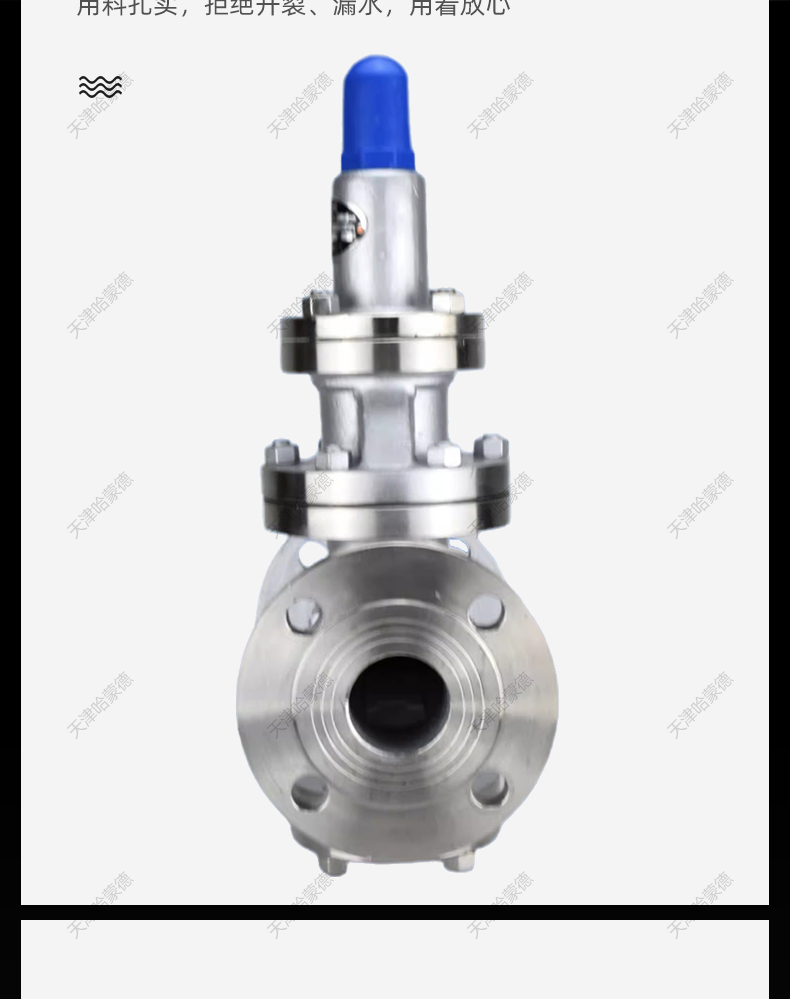 哈蒙德先导活塞式304不锈钢法兰减压阀可调蒸汽锅炉式Y43W16P.jpg