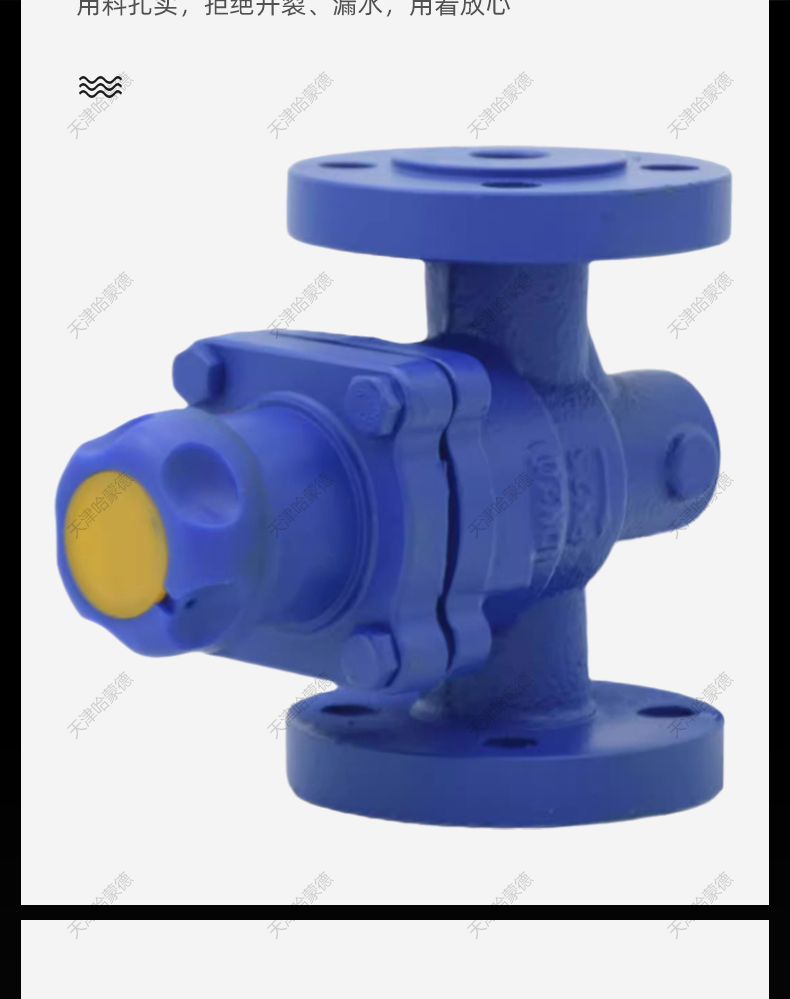 哈蒙德 斯派莎克型BRV2S直接作用式高温蒸汽减压阀DN15 20 25.jpg