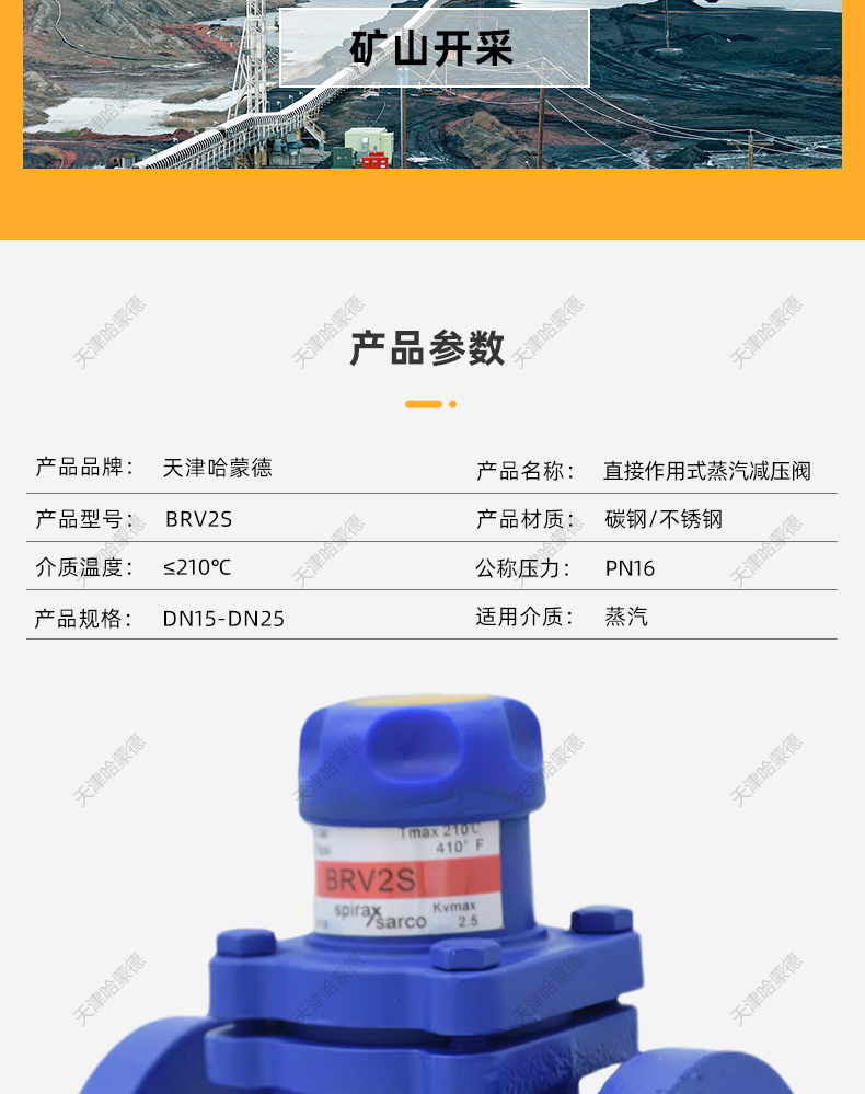 哈蒙德 斯派莎克型BRV2S直接作用式高温蒸汽减压阀DN15 20 25.jpg