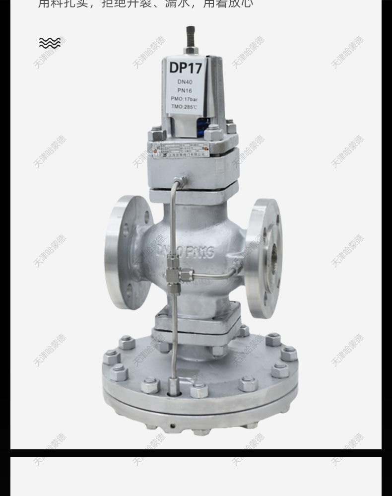 哈蒙德DP17斯派莎克式导阀型先导膜片式高灵敏度不锈钢蒸汽减压阀.jpg