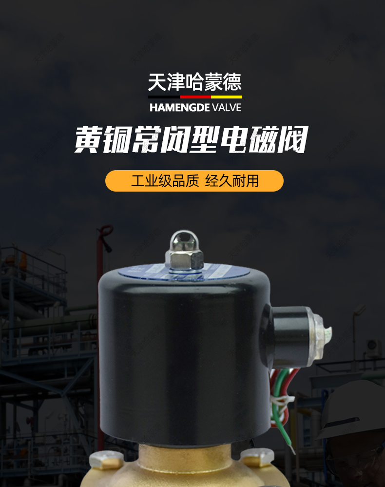 2W-200-20黄铜常闭型电磁阀.jpg