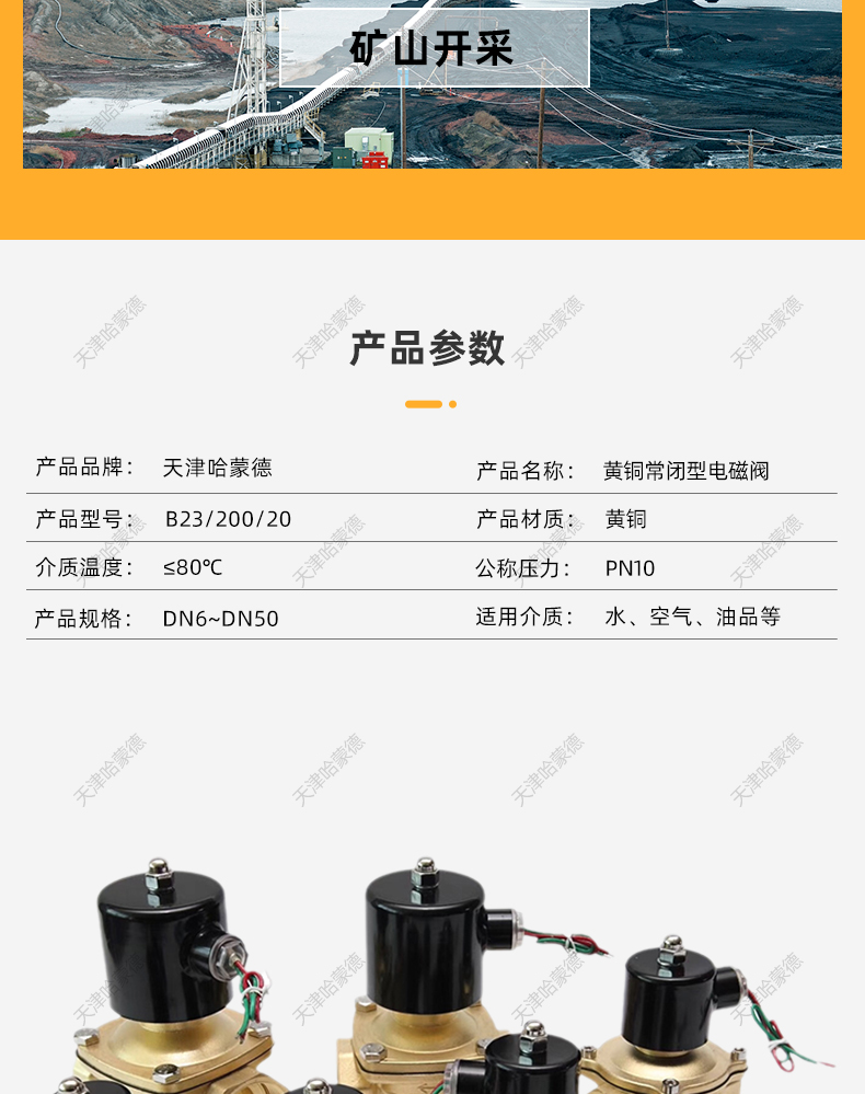 2W-200-20黄铜常闭型电磁阀.jpg