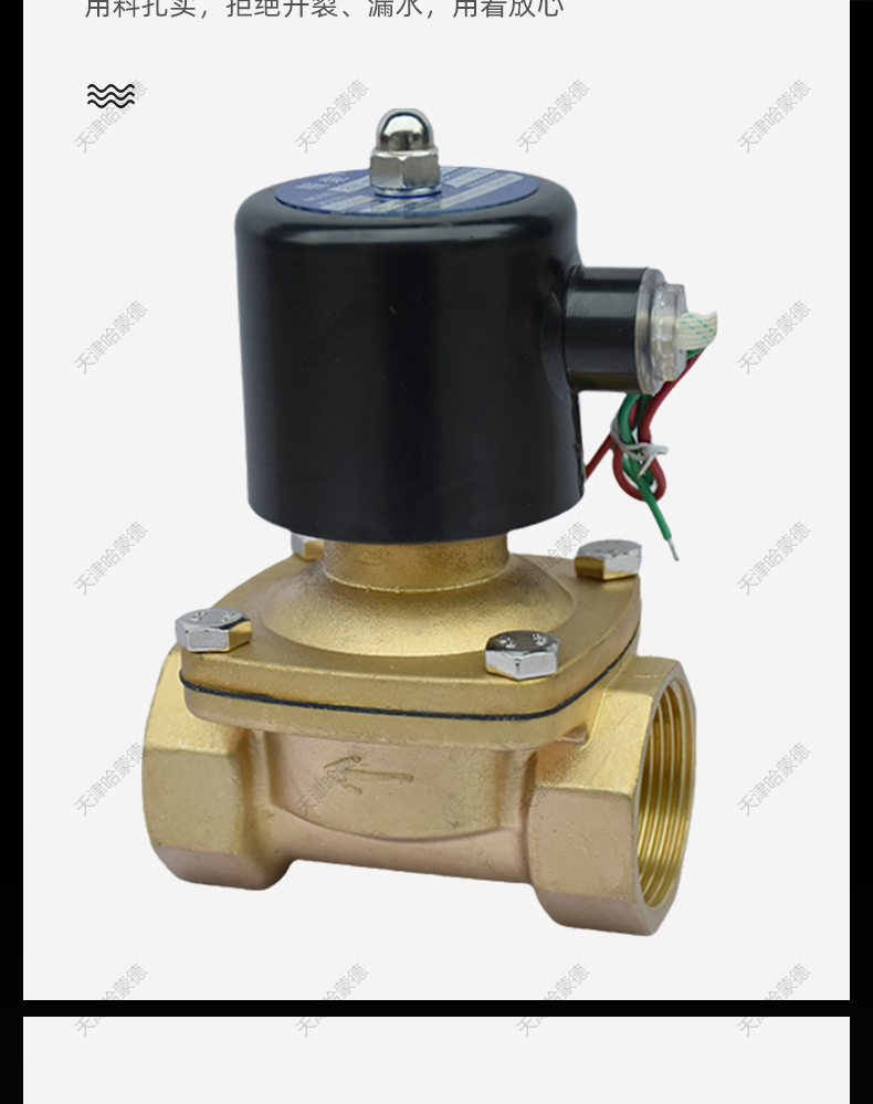 2W-200-20黄铜常闭型电磁阀.jpg