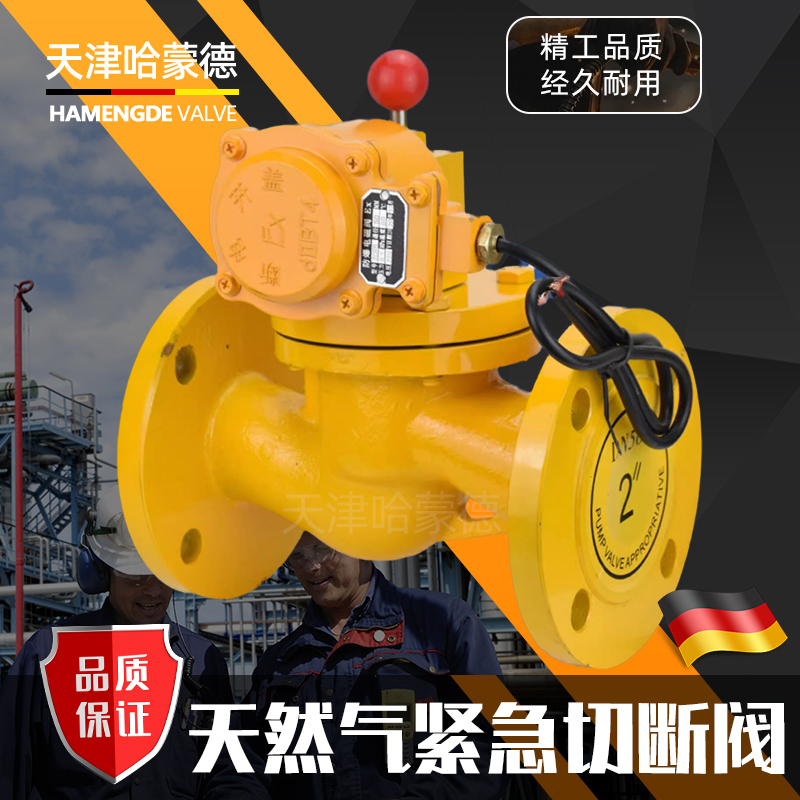哈蒙德燃气紧急切断阀ZCRB工业天然气铸钢法兰防爆电磁阀BT4防爆