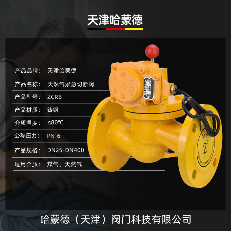 哈蒙德燃气紧急切断阀ZCRB工业天然气铸钢法兰防爆电磁阀BT4防爆
