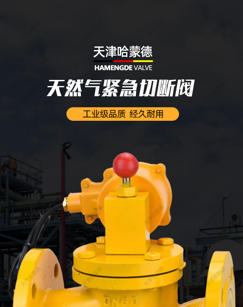 哈蒙德燃气紧急切断阀ZCRB工业天然气铸钢法兰防爆电磁阀BT4防爆.jpg