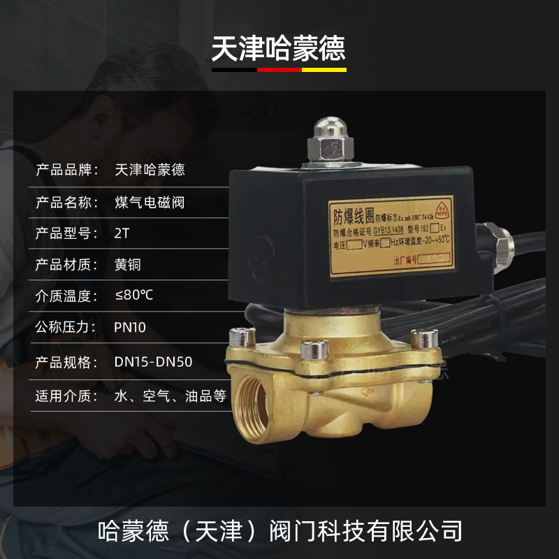 2T煤气电磁阀