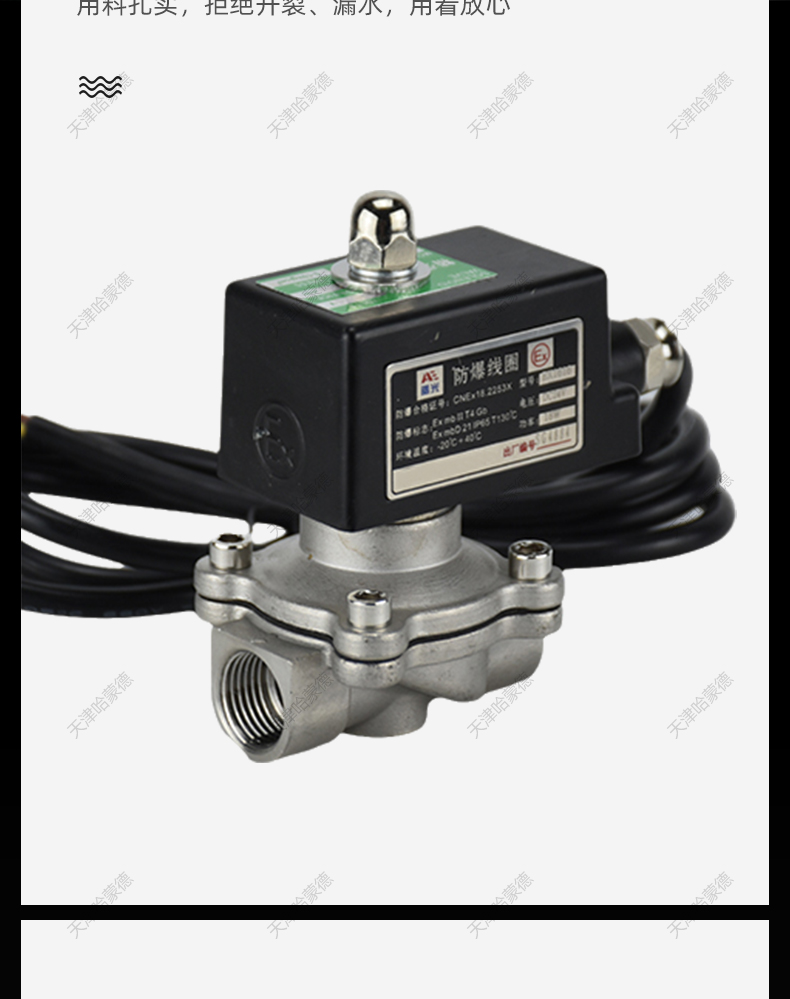 2T煤气电磁阀.jpg
