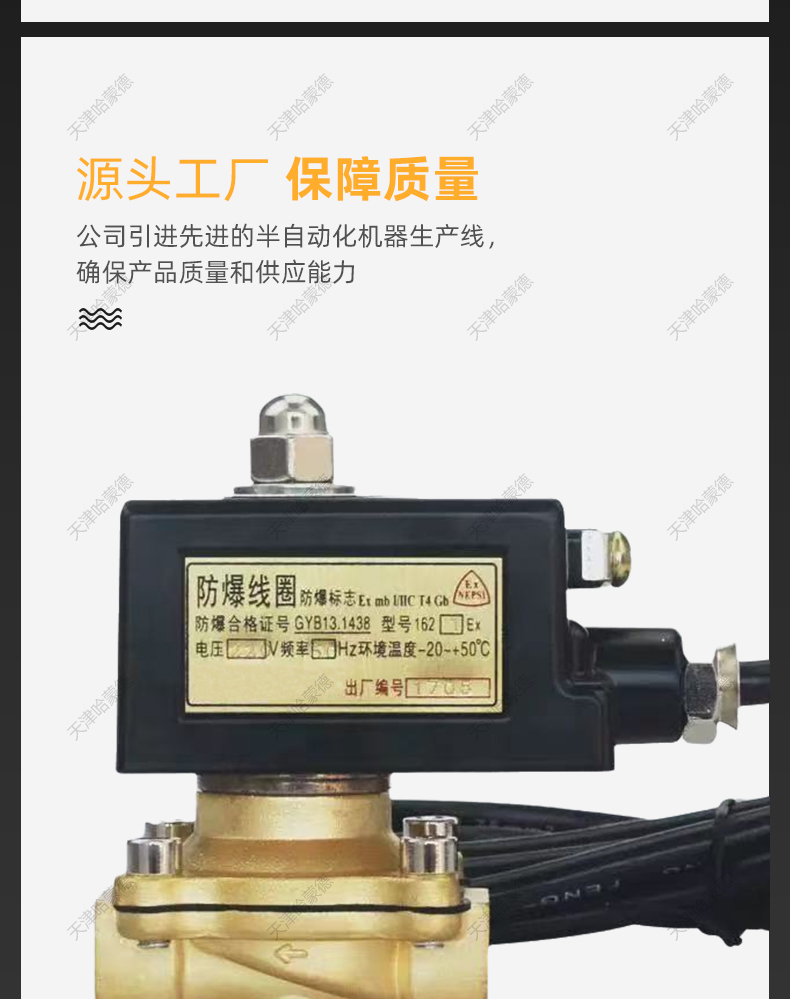 2T煤气电磁阀.jpg