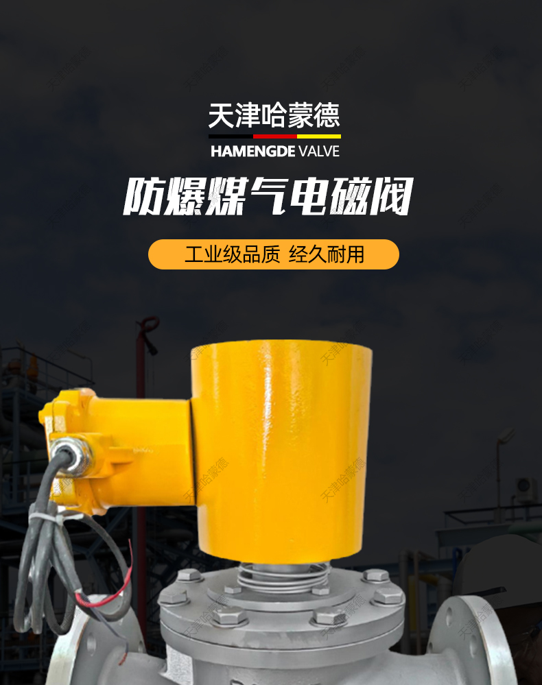 哈蒙德法兰防爆电磁阀切断阀铸钢不锈钢ZCM常闭型液化煤气天然气.jpg