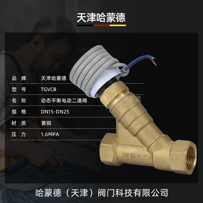 TGVCB动态平衡电动二通阀