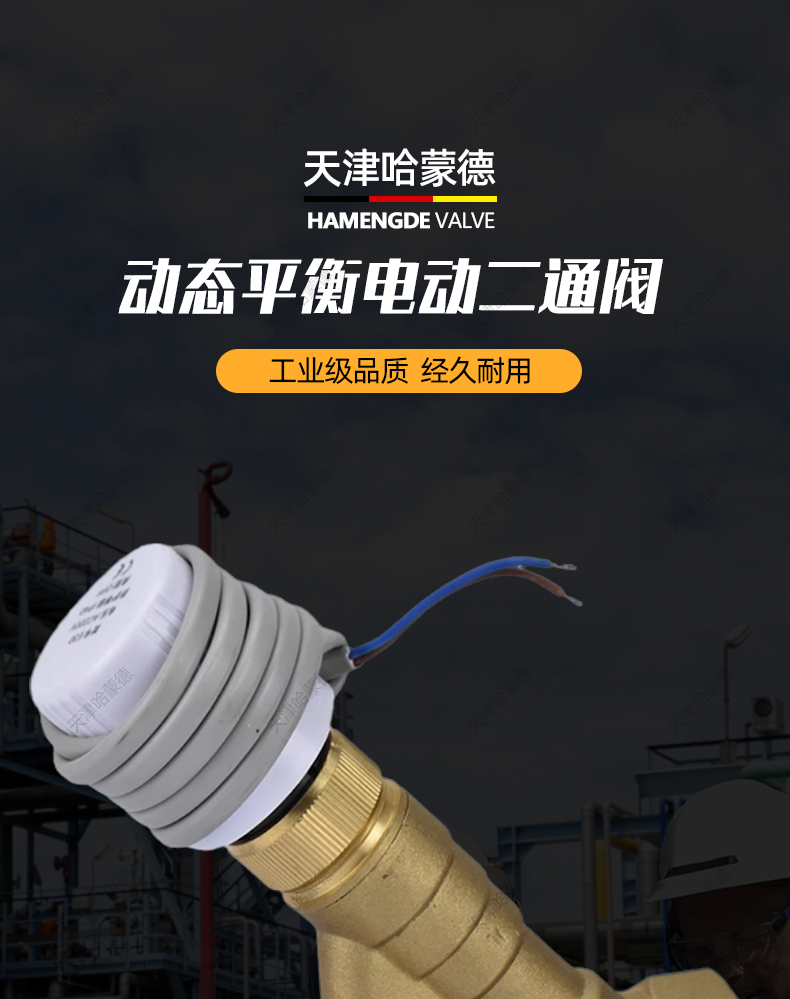 TGVCB动态平衡电动二通阀.jpg