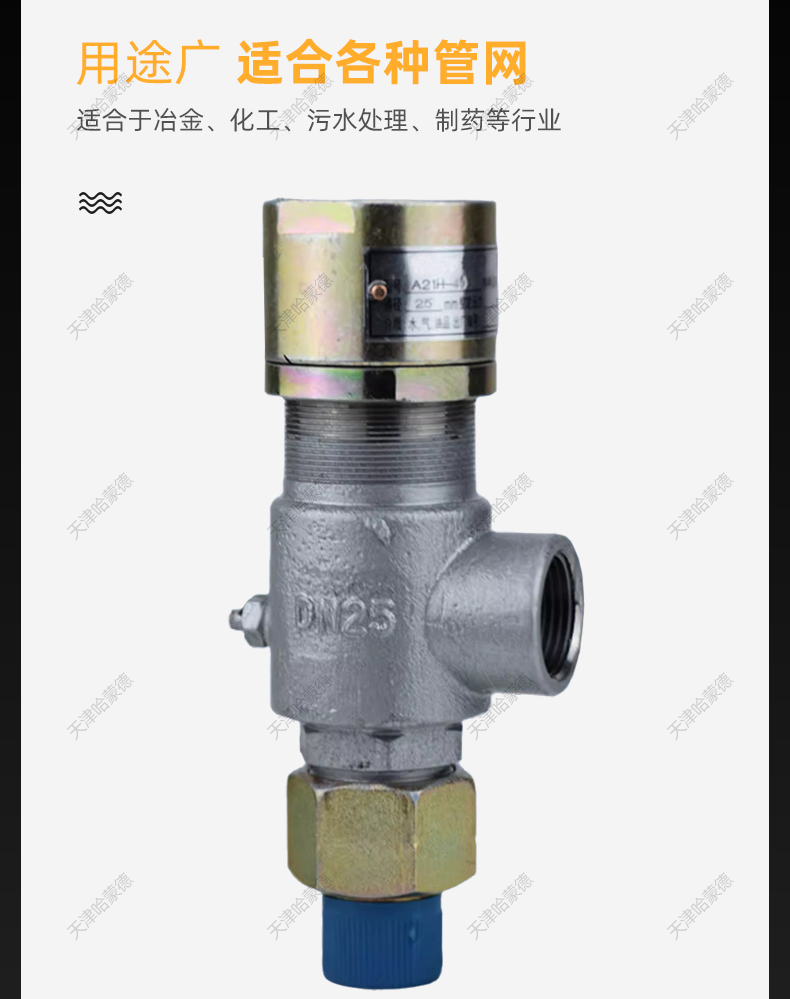 哈蒙德A21H16C/25C/40C铸钢弹簧微启封闭式外螺纹安全阀泄压阀.jpg