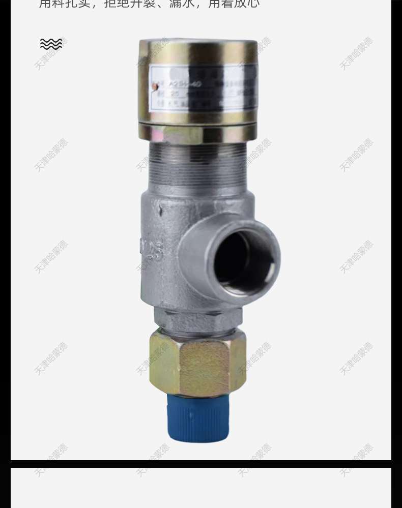 哈蒙德A21H16C/25C/40C铸钢弹簧微启封闭式外螺纹安全阀泄压阀.jpg