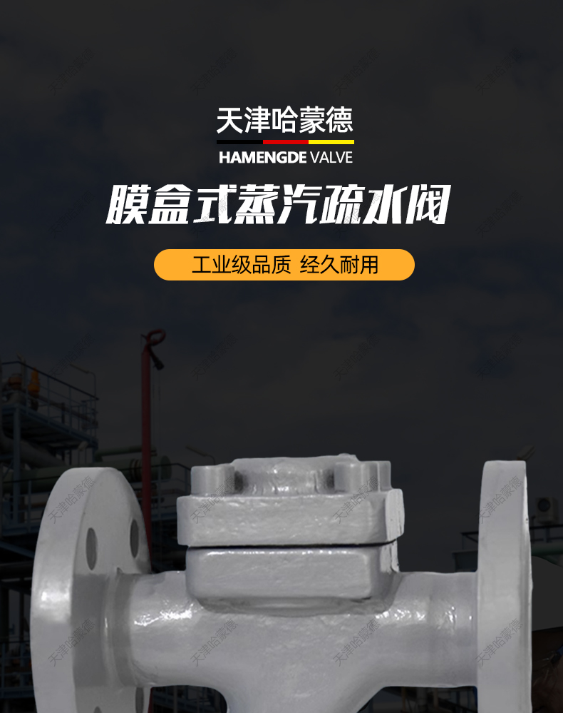 哈蒙德高灵敏铸钢法兰热静力膜盒式蒸汽疏水阀疏水器CS46H16/25C.jpg